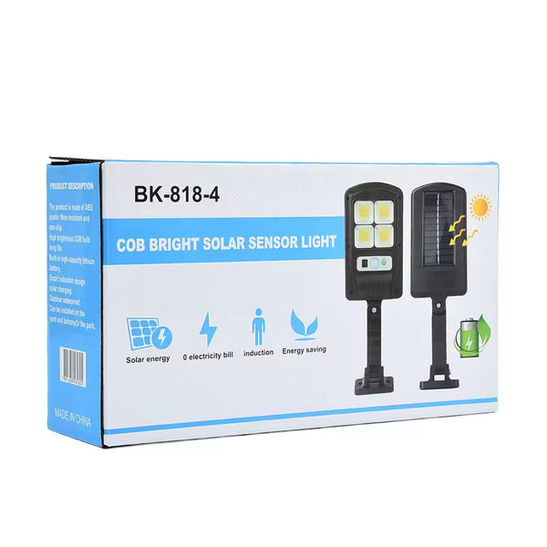 Solar sensor light with remote system