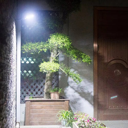 Solar sensor light with remote system